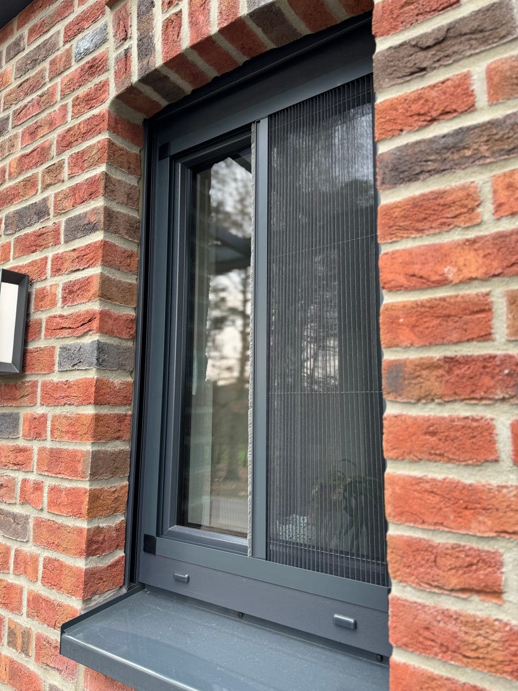 Insektenschutzgitter von DS Veranda 04